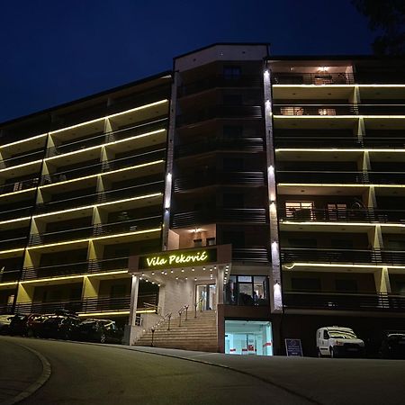 Apartment Pino Bianco 1 - Vila Pekovic Zlatibor Eksteriør bilde